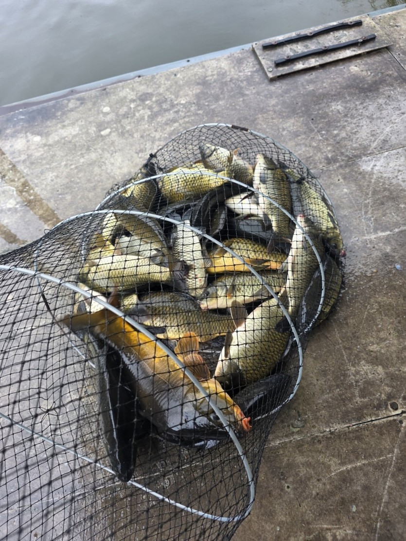 4aef881d6a3f7216f2e1032561e851de_1783305239_4779.jpg